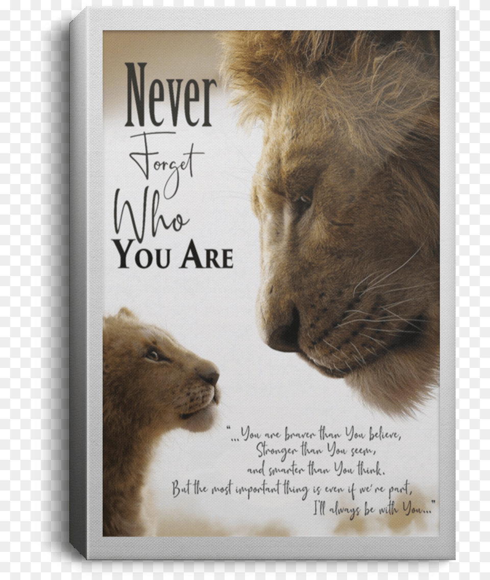 Never Forget Who You Are Lion King Poster, Animal, Mammal, Wildlife, Canine Free Png Download