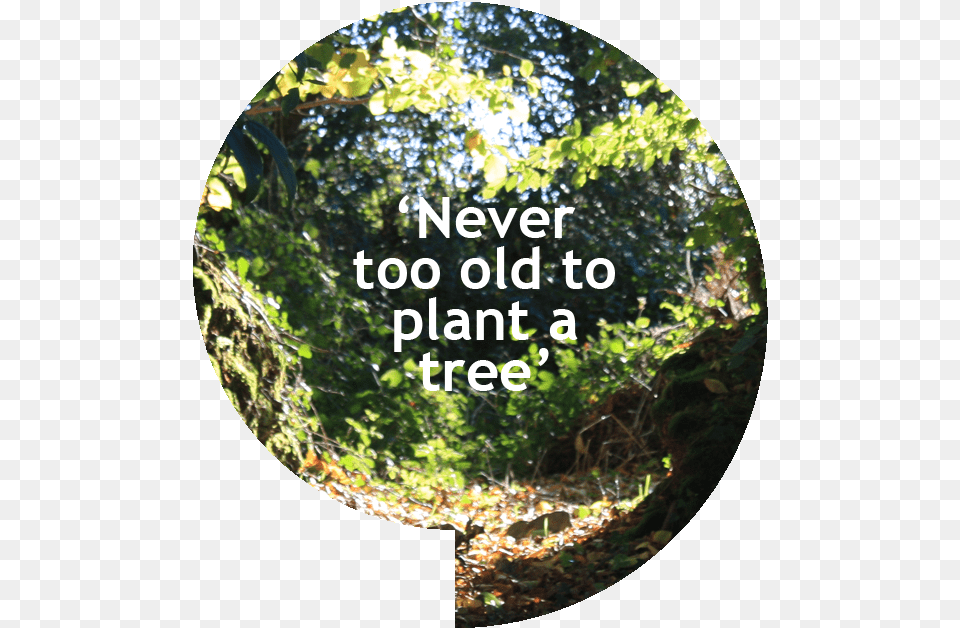 Never Too Old To Plant A Tree Label, Woodland, Photography, Rainforest, Outdoors Free Png