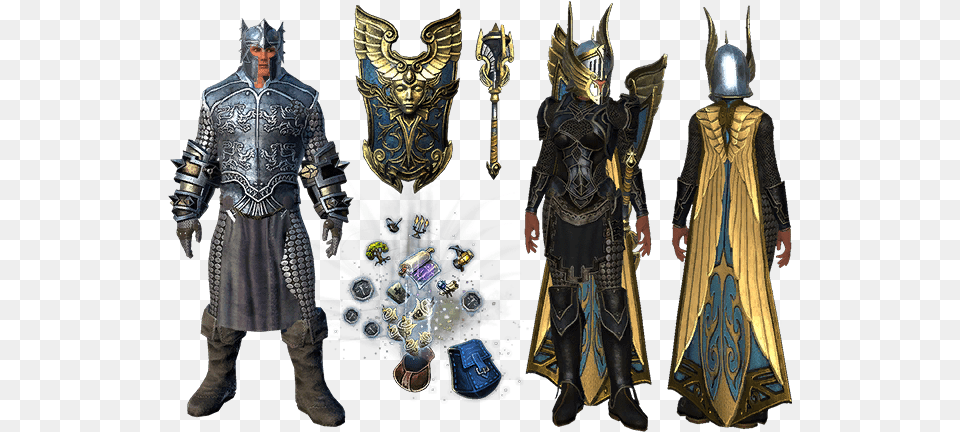 Neverwinter Paladin Armor, Adult, Male, Man, Person Free Png