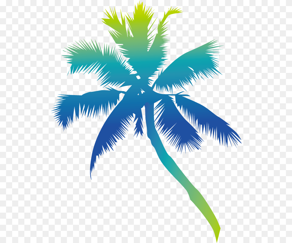 Nevis Euclidean Vector Festival Blues Coconut, Palm Tree, Plant, Tree, Person Free Transparent Png