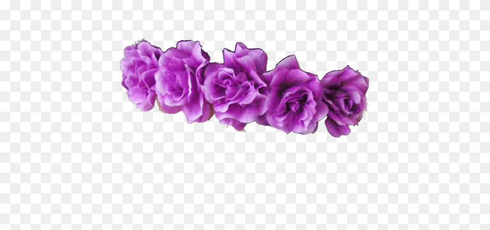New 138 Purple Flower Crown Transparent Purple Flower Crowns, Flower Arrangement, Geranium, Petal, Plant Free Png