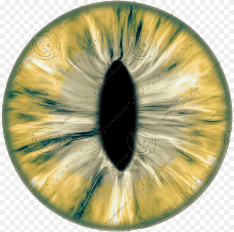 New 20 Eye Lens For Editing Eyes Lens Eye Texture, Food, Fruit, Plant, Produce Free Png Download