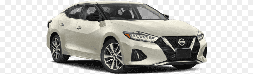 New 2019 Nissan Maxima, Car, Vehicle, Sedan, Transportation Png Image