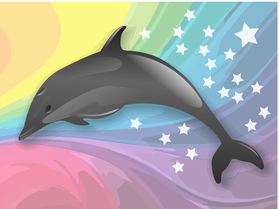 New Age Dolphin Rainbow Clipart, Animal, Mammal, Sea Life Free Transparent Png
