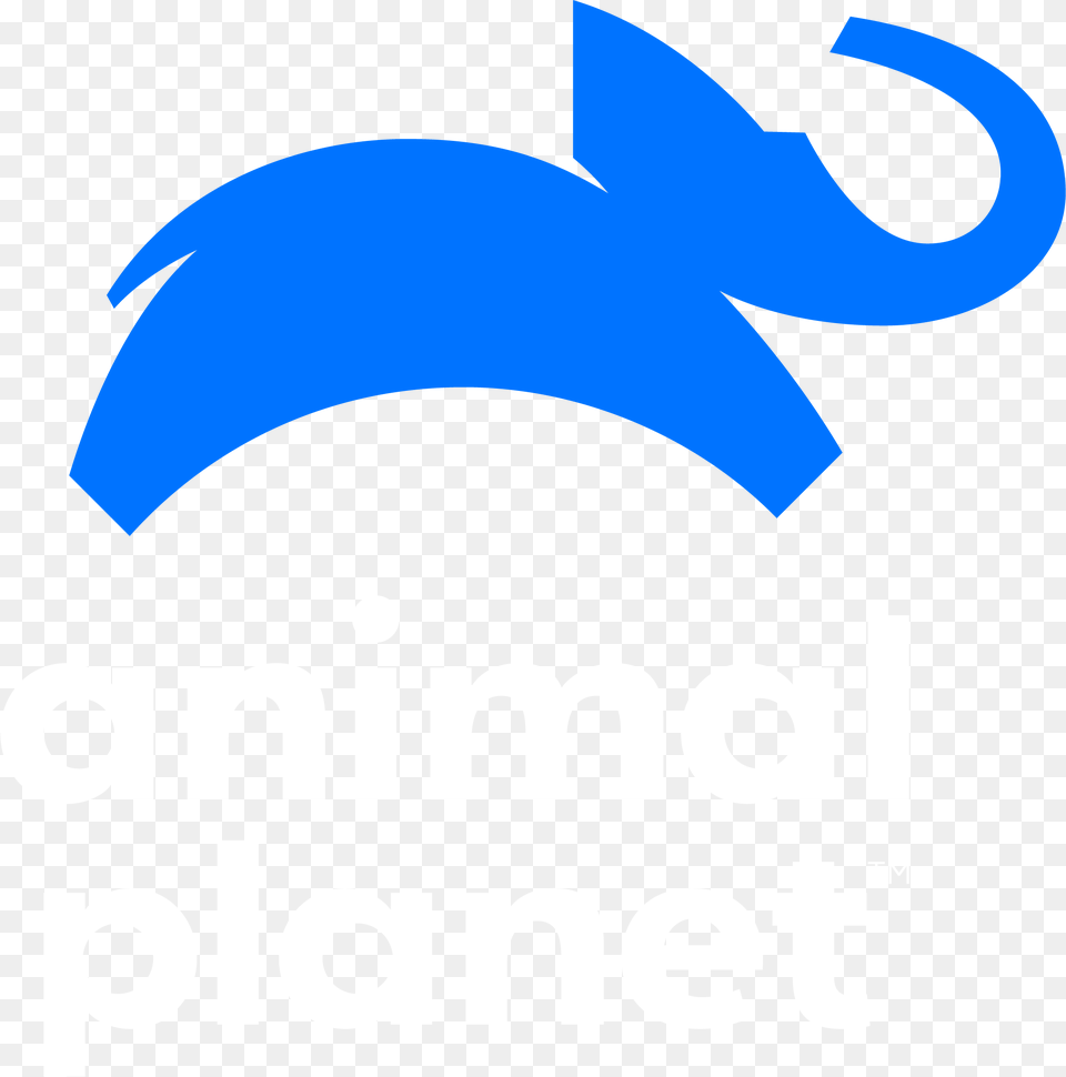 New Animal Planet Logo New Animal Planet Logo, Clothing, Swimwear, Hat, Cap Free Png Download