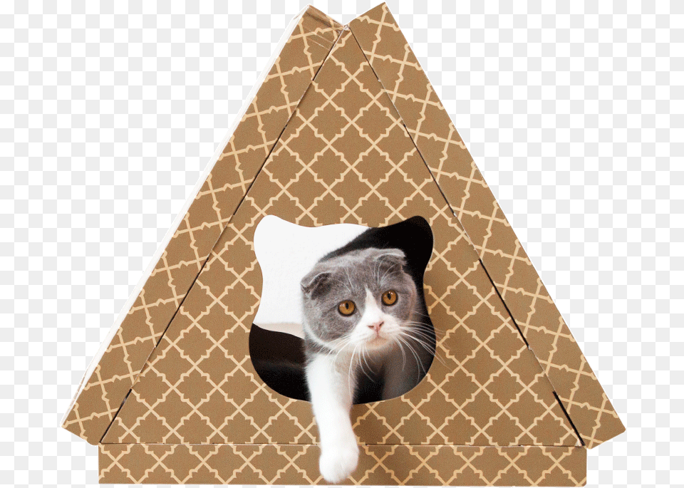 New Arrival Triangle Cat House Cat Gripper Claw Grinder Arrow Wind Icon, Animal, Mammal, Pet Free Transparent Png