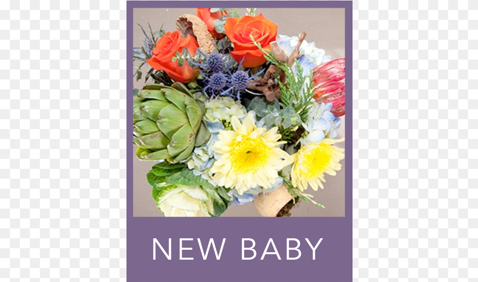 New Baby Flowers Bouquet, Art, Floral Design, Flower, Flower Arrangement Free Png