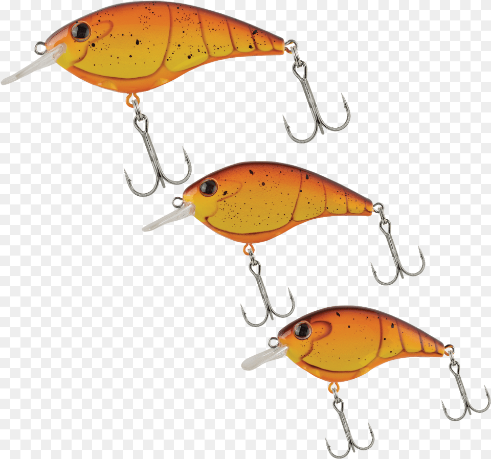 New Biggunu0027 And Junior Berkley Frittside Baits Bassmaster Berkley Frittside, Electronics, Hardware, Fishing Lure, Animal Png Image