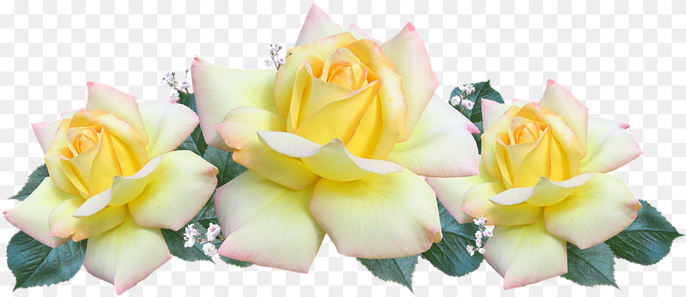 New Birthday Texts For Deceased Loved Ones Mensaje Feliz Dia De La Mujer, Flower, Flower Arrangement, Flower Bouquet, Plant Free Png Download