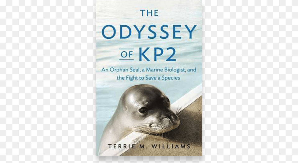 New Book By Ucsc Biologist Highlights Efforts To Save Steller Sea Lion, Animal, Mammal, Publication, Sea Life Free Png Download