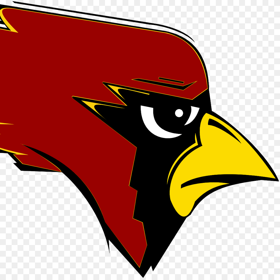 New Bremen Sports On Twitter Div Volleyball State Finals Nutter, Animal, Beak, Bird Png