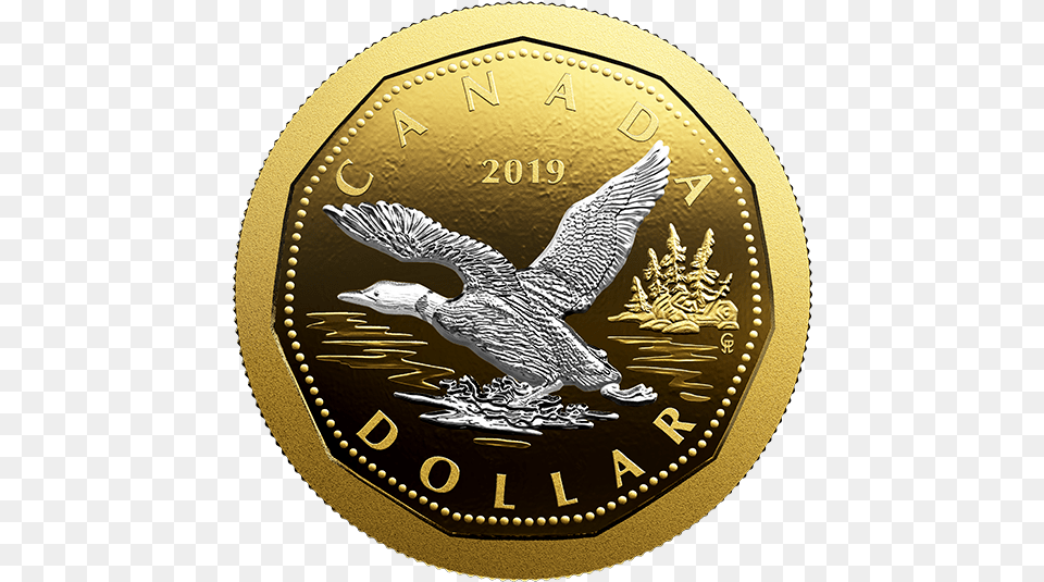 New Canadian Loonie 2019, Animal, Bird, Coin, Money Png Image