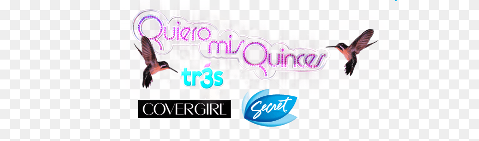 New Cast Of Quinceaneras Go Digital, Animal, Bird, Flying, Swallow Free Transparent Png