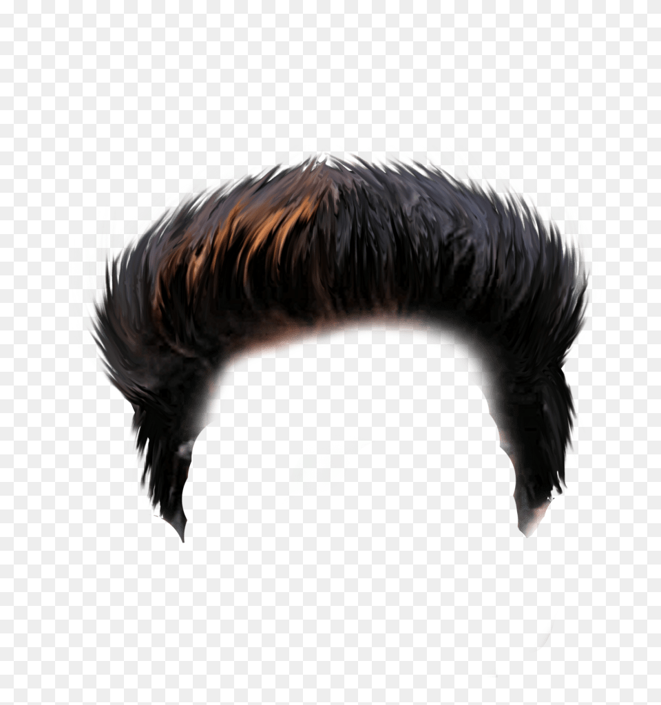 New Cb Editing Hair 2019 Tutorial Photoshop Cc Hair Rock Hair, Animal, Bird Free Transparent Png