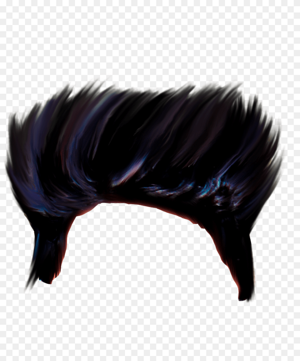 New Cb Hair, Animal, Bird, Person Free Png