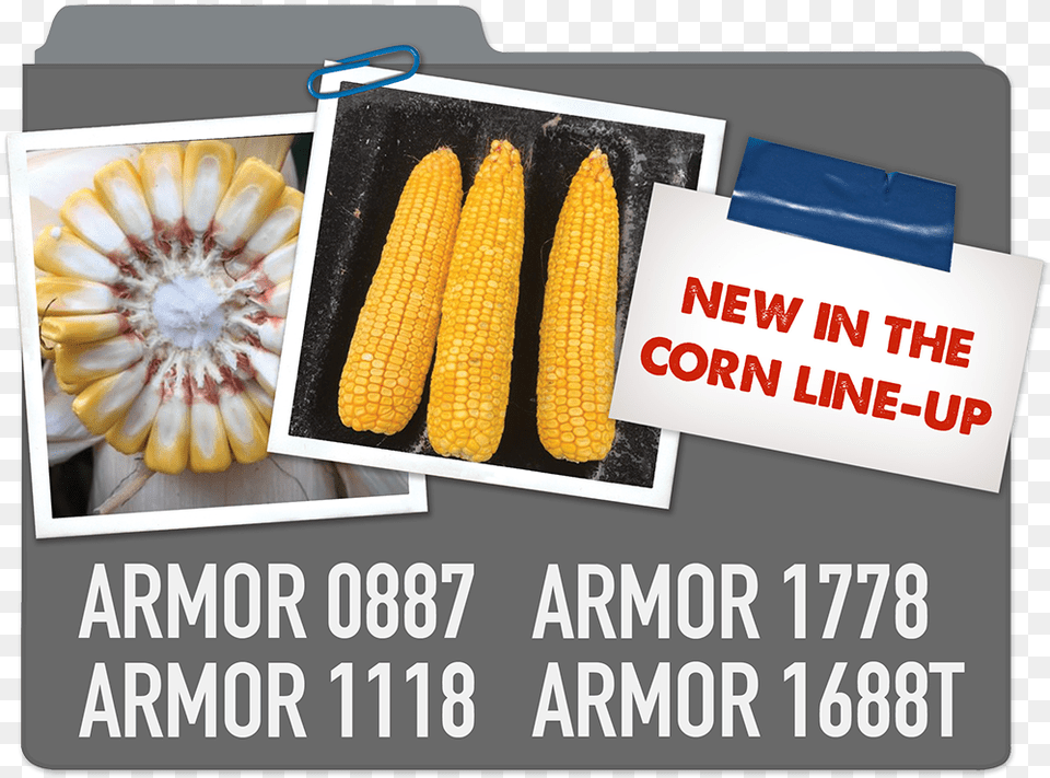 New Corn Line Up Armor 0887 Armor 1778 Armor 1118 Corn Kernels, Food, Grain, Plant, Produce Free Png