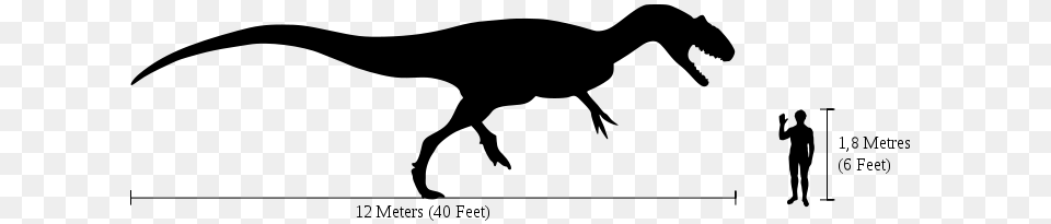 New Data For Old Bones How The Famous Cleveland Lloyd Dinosaur, Gray Png Image