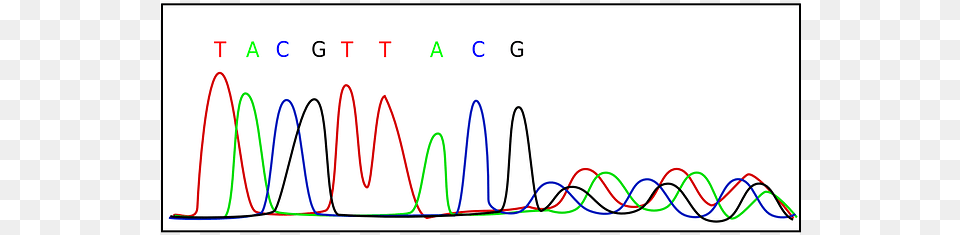 New Dna Sequencing Device Electropherogram, Chart, Plot, Text Free Png Download