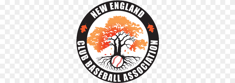 New England Club Baseball Association Language, People, Person, Sticker, Logo Free Transparent Png
