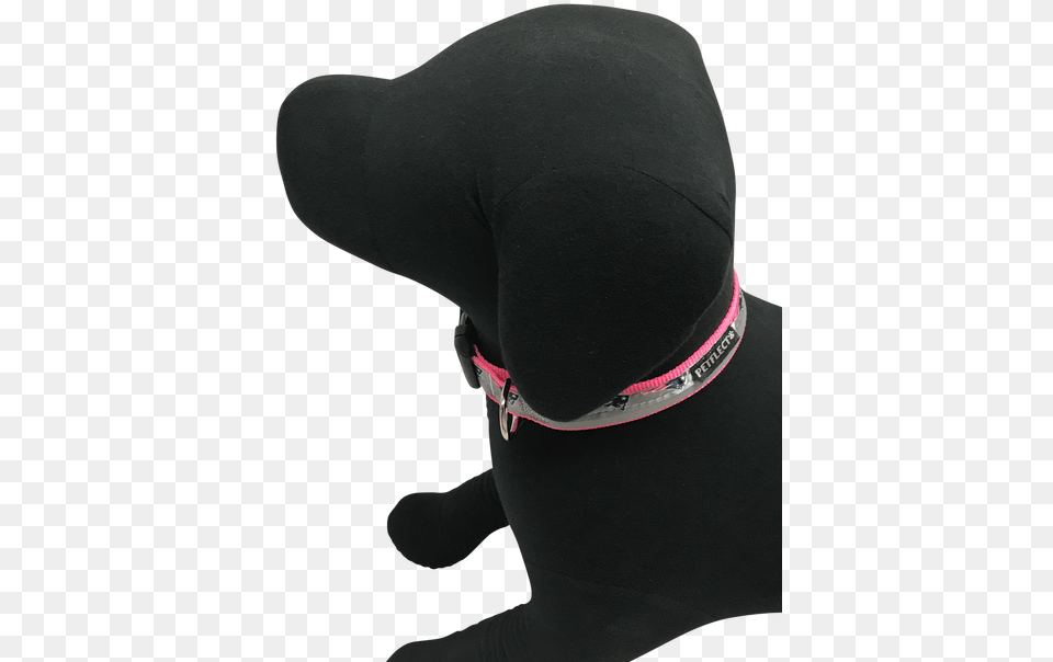 New England Patriots Dog Collar Baseball Cap, Cushion, Home Decor, Clothing, Hat Free Png Download