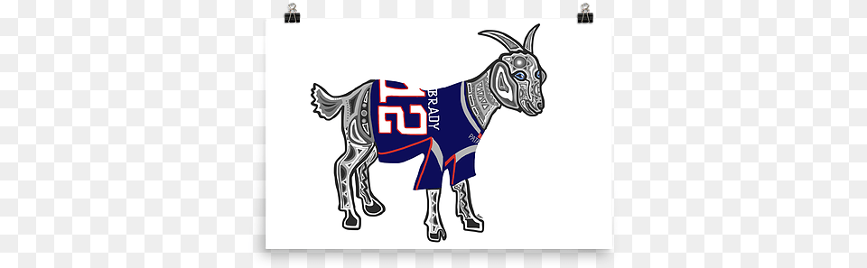 New England Patriots Goat Print Shdesign Working Animal, Livestock, Mammal, Kangaroo Png Image