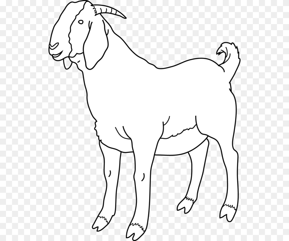 New Free See Black And White Goat Clipart, Livestock, Animal, Mammal, Baby Png