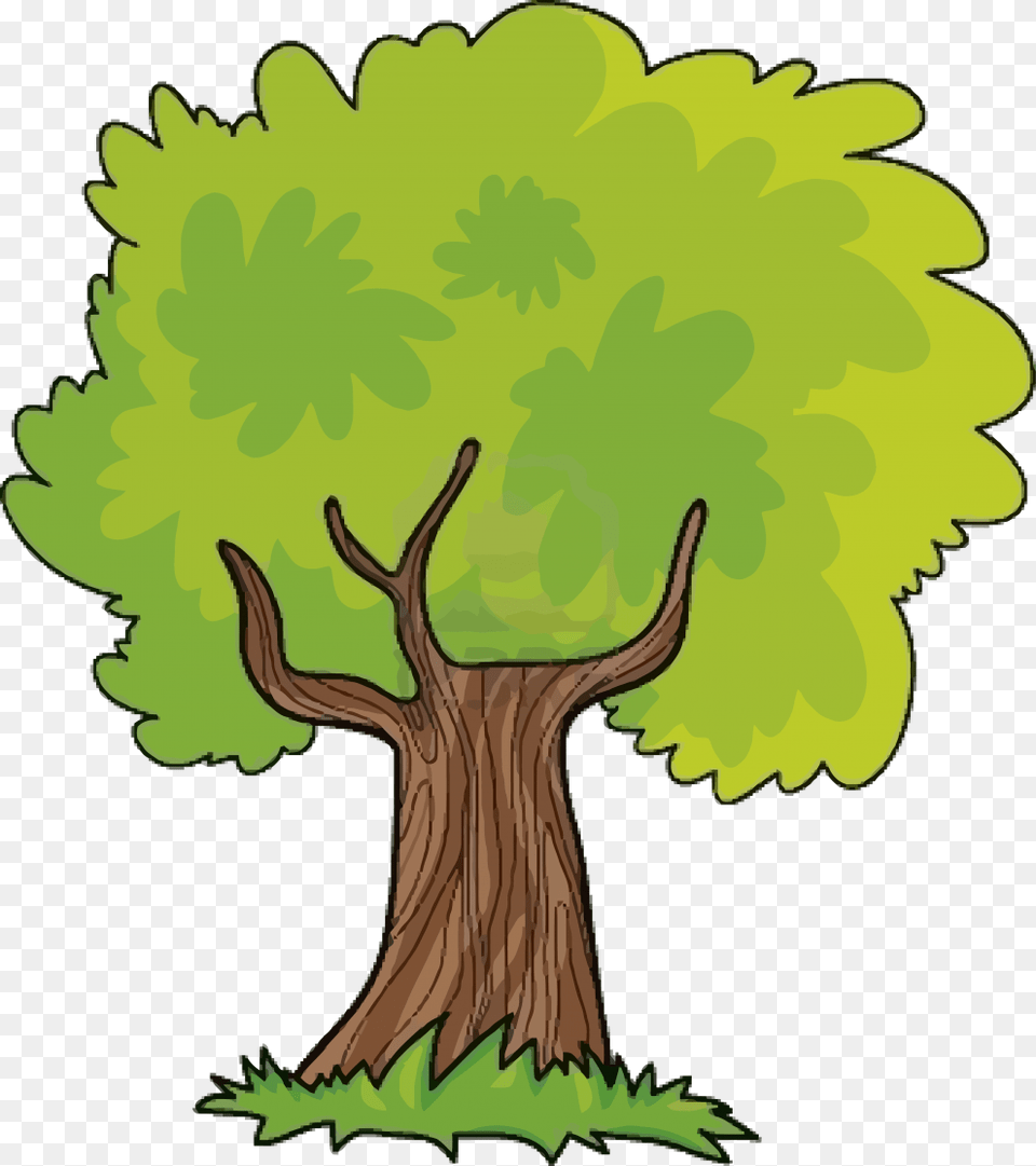 New Green Tree Clipart Cartoon Tree Clipart, Plant, Vegetation, Tree Trunk, Animal Png