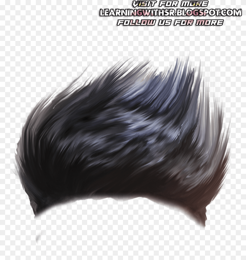 New Hair Download For Man New Hair Download, Animal, Bird, Art, Graphics Png Image