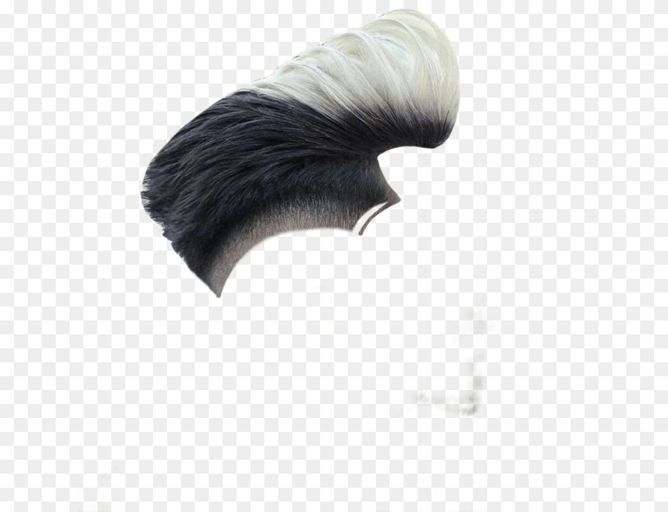 New Hair Style Hd Lace Wig, Adult, Male, Man, Person Free Png Download