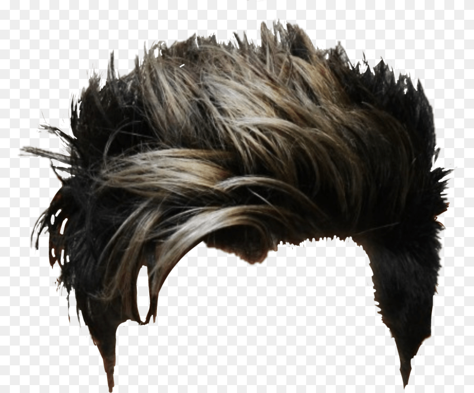 New Hairstyles For Men 2014 Round Face, Adult, Female, Person, Woman Png Image