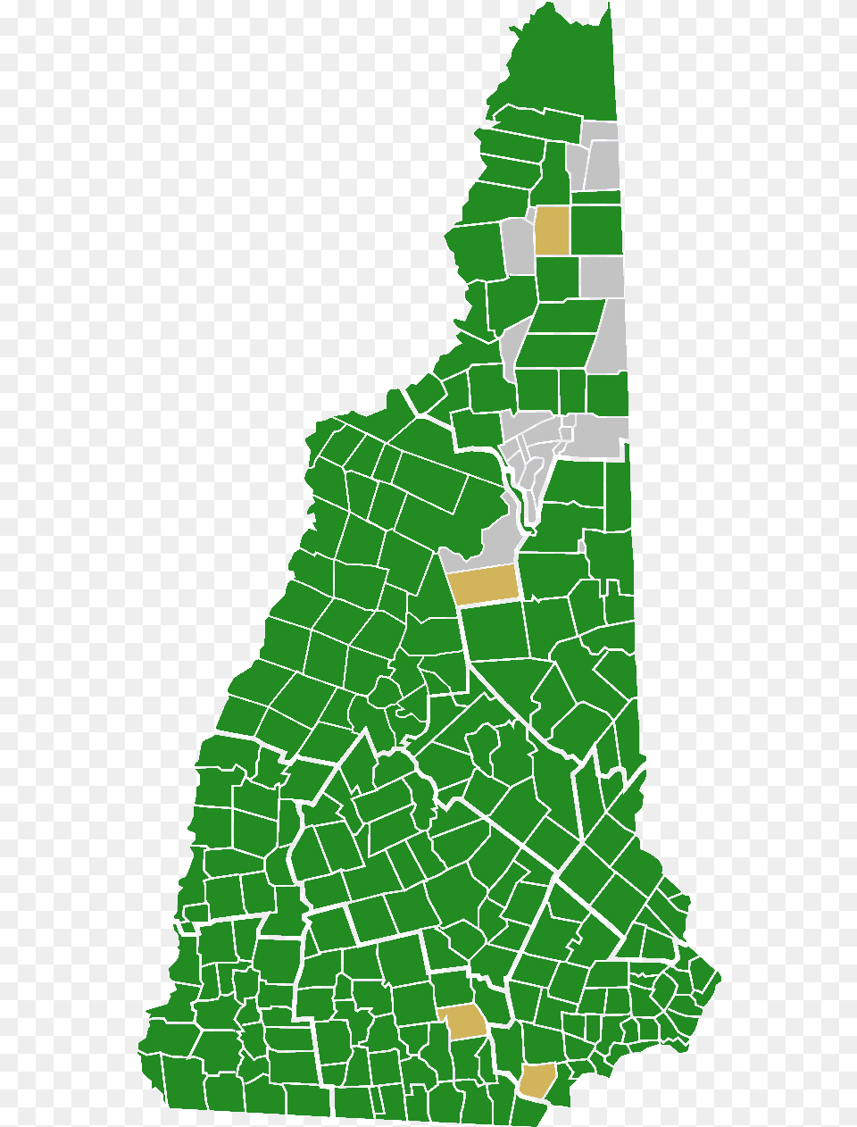 New Hampshire Democratic Presidential Primary Election New Hampshire Municipalities, Green, Vegetation, Plant, Plot Free Png