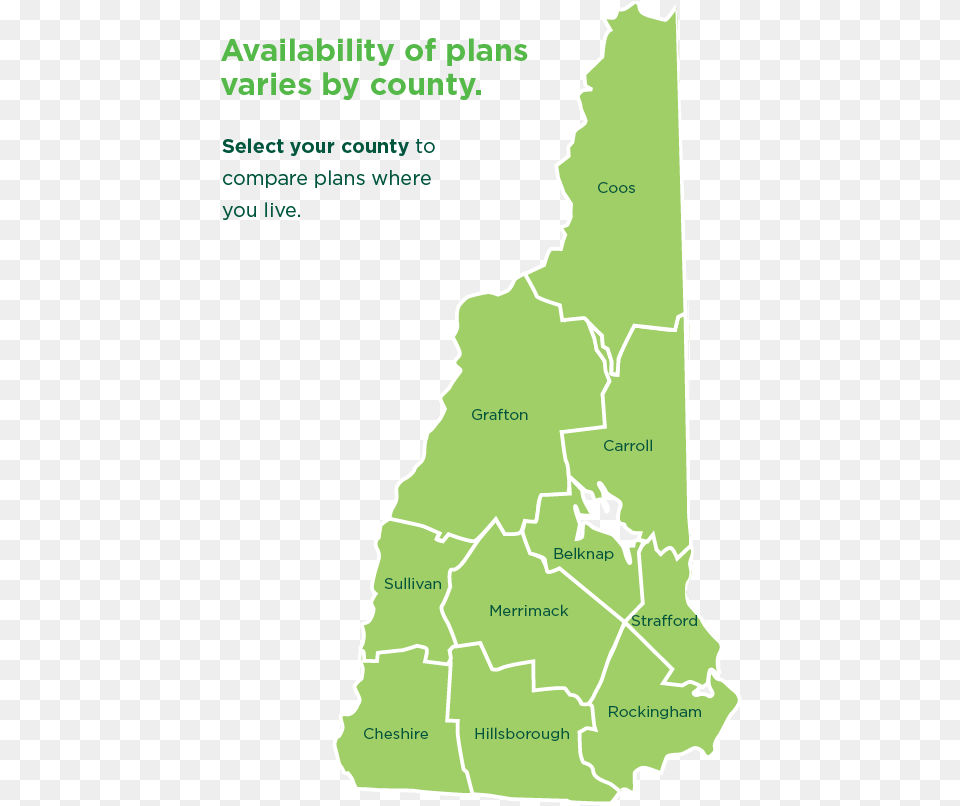 New Hampshire Plans 2020, Vegetation, Tree, Rainforest, Plot Free Transparent Png