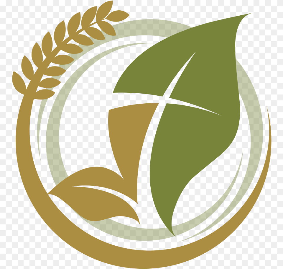 New Harvest Apostolic Church Apostolic Church New Church Logos, Leaf, Plant, Logo, Herbal Png Image