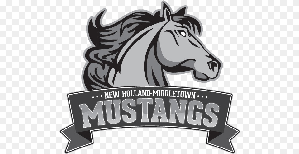 New Holland New Holland Middletown Mustangs, Animal, Colt Horse, Horse, Mammal Png