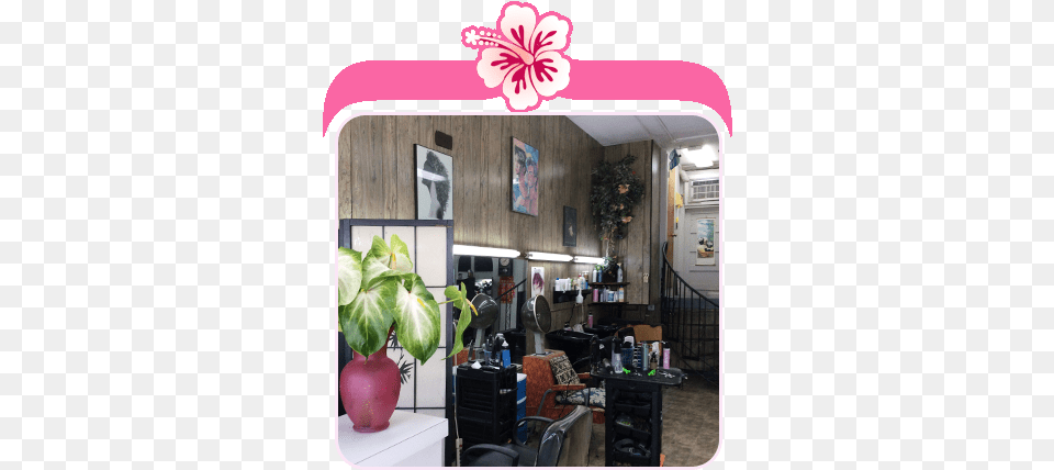 New Unisex Beauty Salon Hilo Hi Flowerpot, Architecture, Potted Plant, Plant, Living Room Png Image