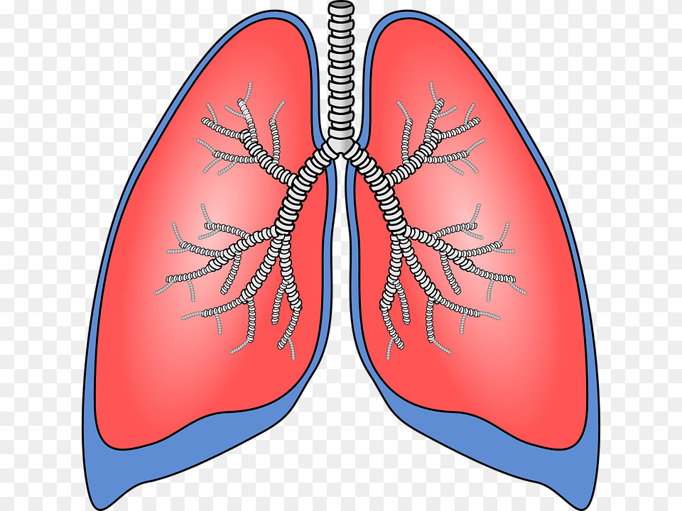 New Immunotherapy For Lung Cancer News, Face, Head, Person, Body Part Png