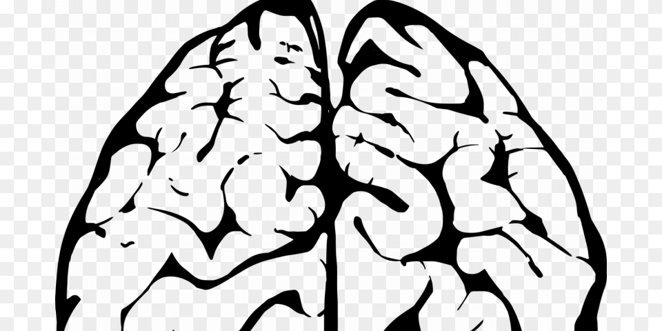 New Insights Into The Way The Brain Combines Memories To Solve, Gray Png Image