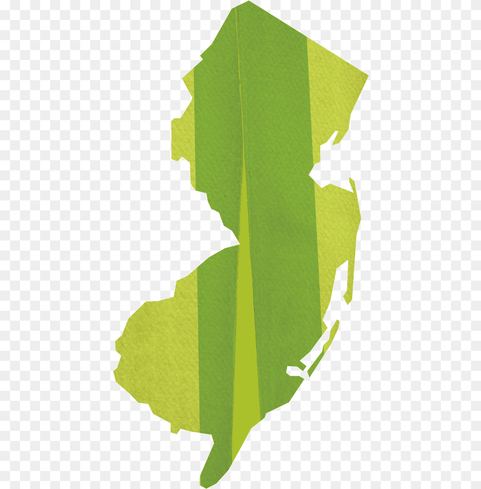 New Jersey Area Team Plane, Leaf, Plant, Paper, Person Free Png