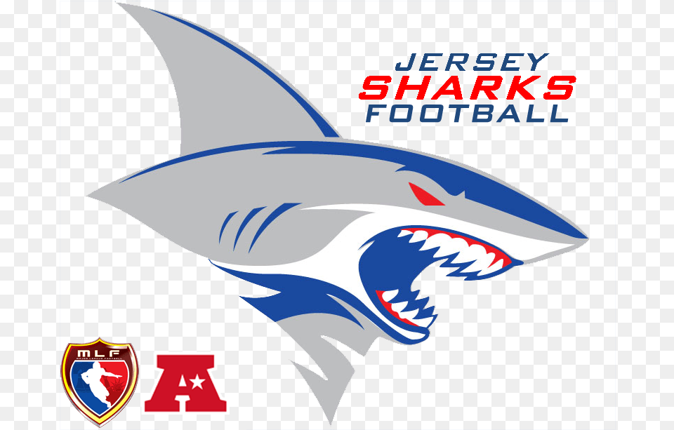 New Jersey Sharks Football, Animal, Fish, Sea Life, Shark Png Image