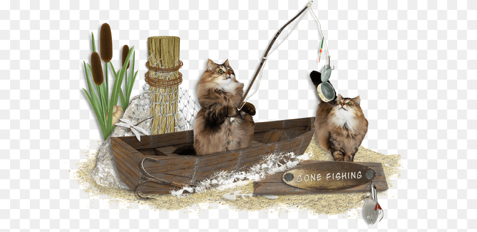 New Kit Quotgone Fishingquot And Freebie Portable Network Graphics, Plant, Potted Plant, Animal, Cat Free Transparent Png