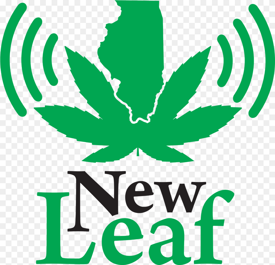 New Leaf Logo Btc Pm, Plant, Weed, Person Png