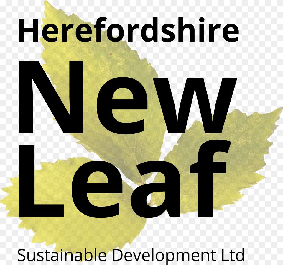 New Leaf Sustainable Development Taboola, Plant, Text, Symbol Free Png Download