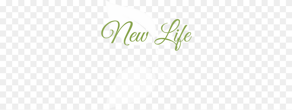 New Life Church United States Tabernacle Language, Leaf, Plant, Herbal, Herbs Png Image