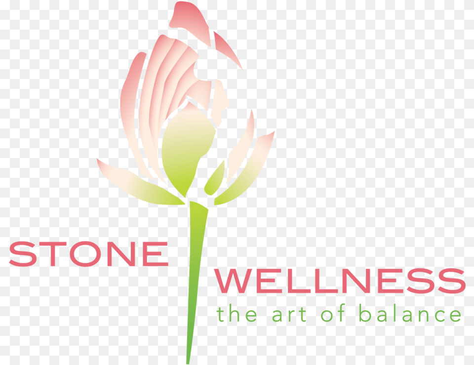 New Logo, Bud, Flower, Plant, Rose Png