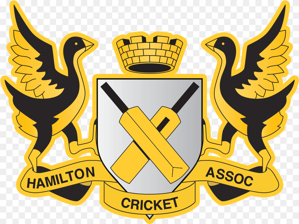 New Logo For Cricket Team, Emblem, Symbol, Dynamite, Weapon Png
