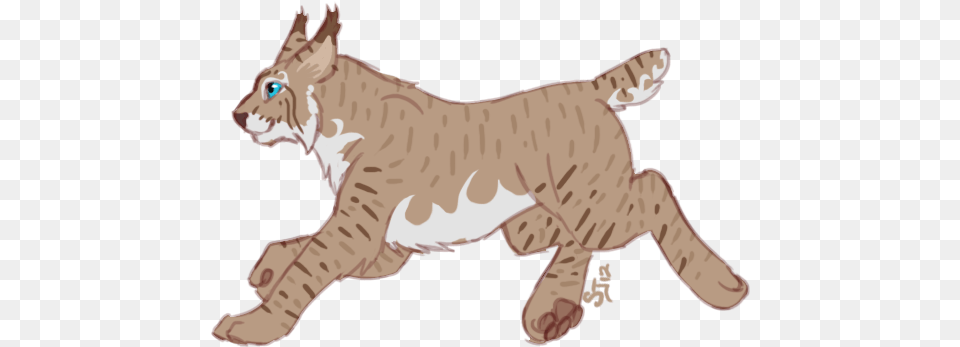 New Lynx Canada Lynx Cartoon Transparent, Animal, Mammal, Baby, Person Free Png