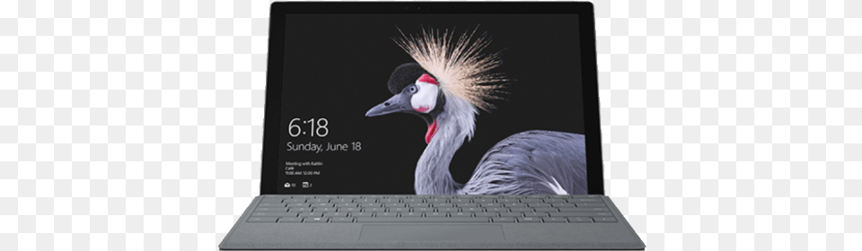 New Microsoft Surface Pro Ms Surface Pro, Animal, Bird, Computer, Crane Bird Free Png