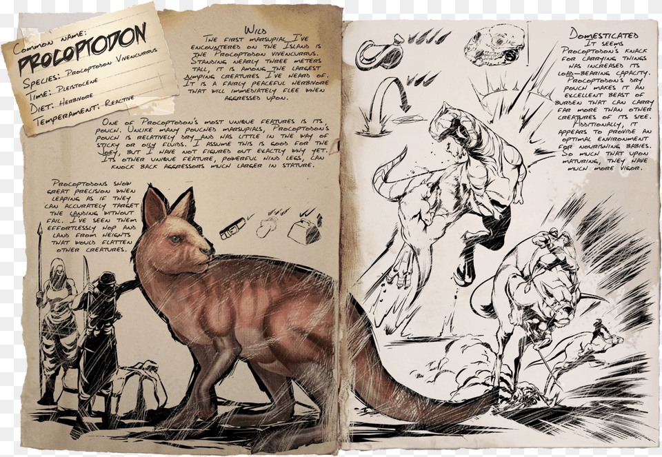 New Modle Procoptodon Ark Survival Monsters Animals Cao Da Lua Ark, Person, Book, Publication, Comics Png