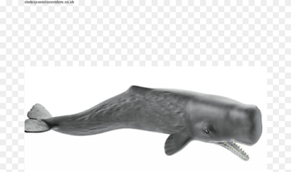 New Official New Schleich Sperm Whale Wild Nature Life Pottwal Schleich, Animal, Appliance, Blow Dryer, Device Free Png Download