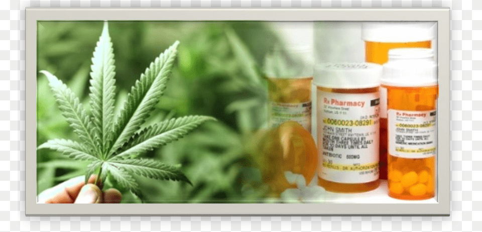 New On Line Cannabis Workplace Safety Course Plant Based Pharmaceuticals, Herbal, Herbs, Medication, Pill Free Transparent Png